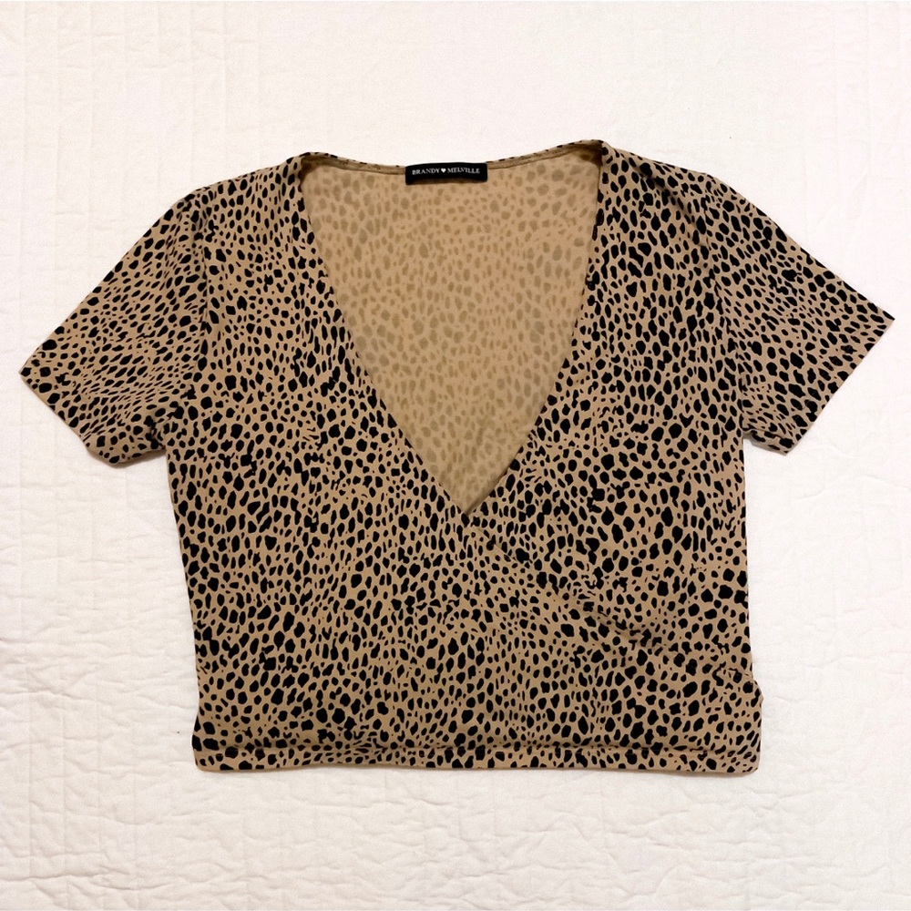 Brandy Melville Cropped V-Neck Wrap Top